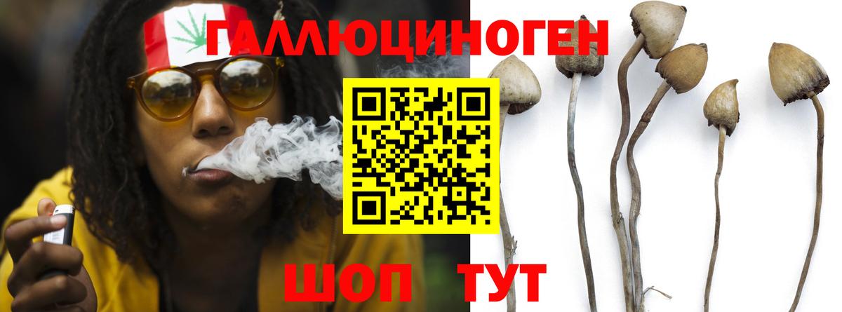 Нижнекамск  Псилоцибиновые грибы прущие грибы  наркотики  Вход с VPN 